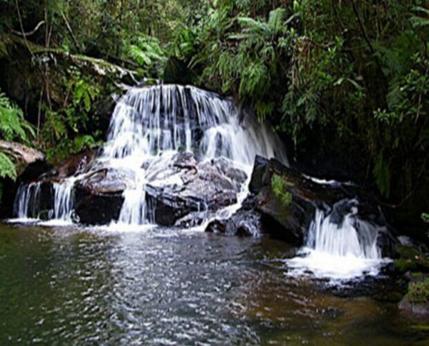 Andasibe - Madagascar