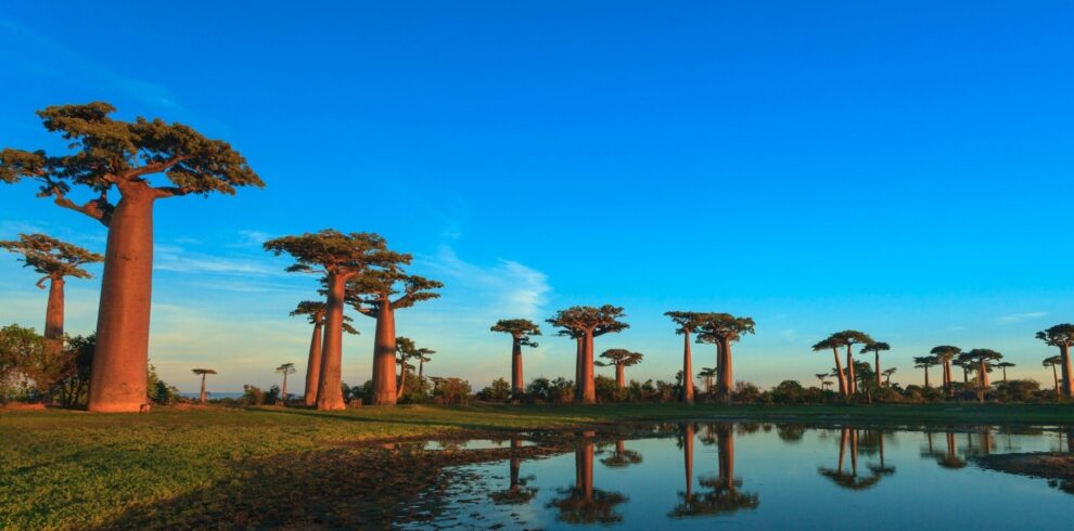 Circuit Ouest Madagascar – Tsiribihina, Tsingy, Baobabs & Makay Nord