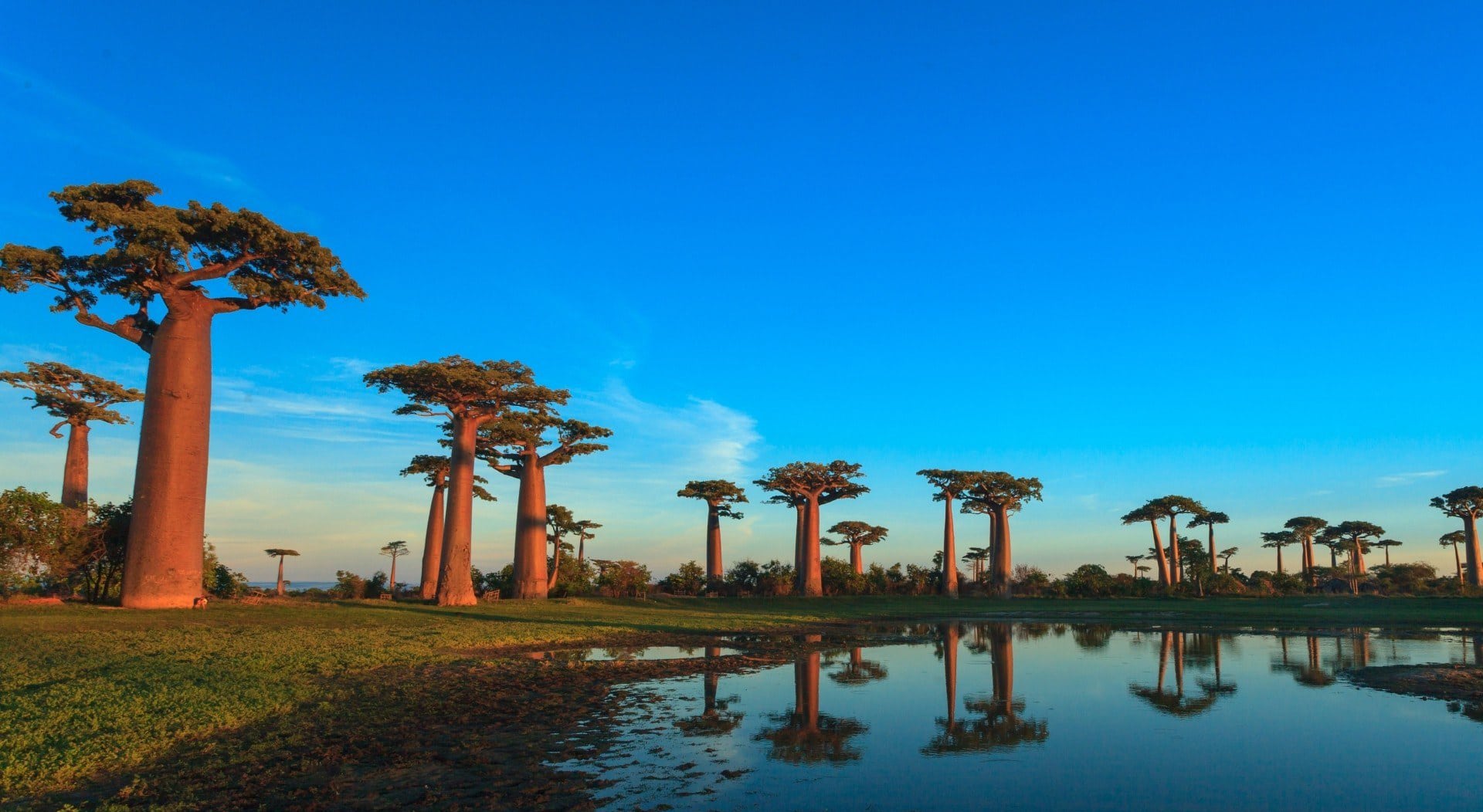 Circuit Ouest Madagascar – Tsiribihina, Tsingy, Baobabs & Makay Nord