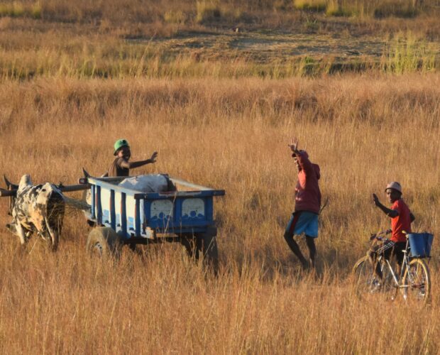 L'Ouest de Madagascar