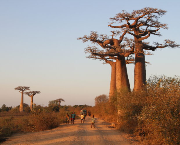 Piste de l'Ouest de Madagascar